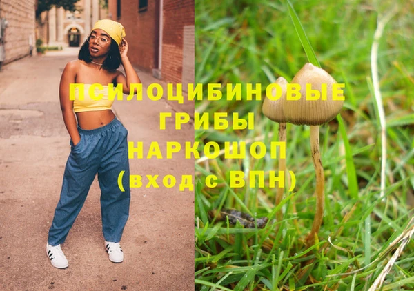 амф Балахна