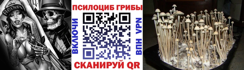 гидра вход  Верхнеуральск  Псилоцибиновые грибы мухоморы 